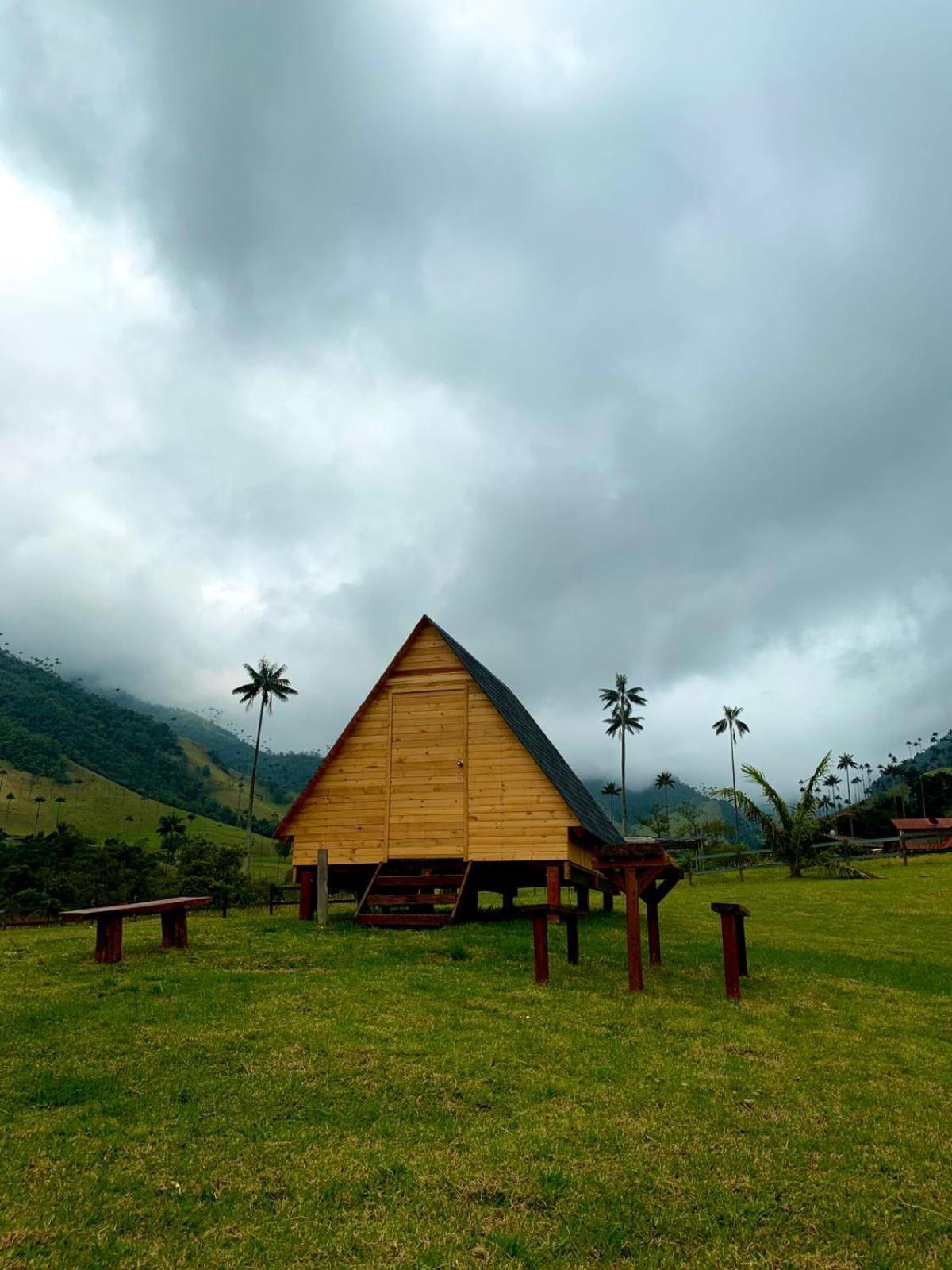 Refugio Nidos Del Condor Cocora Salento Eksteriør bilde